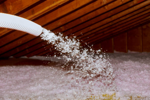 Best Commercial Insulation in Russellville, AL