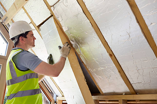 Best Geographic-Specific Insulation Services in Russellville, AL